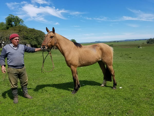 Lote Cabaña "El Mojón" - RP 551 - Bárbara El Mojón
