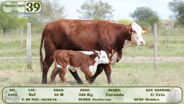 Lote LOTE 39