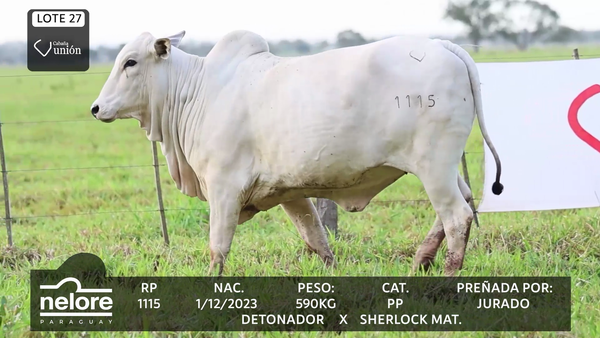 Lote LOTE 27