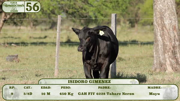 Lote LOTE 56