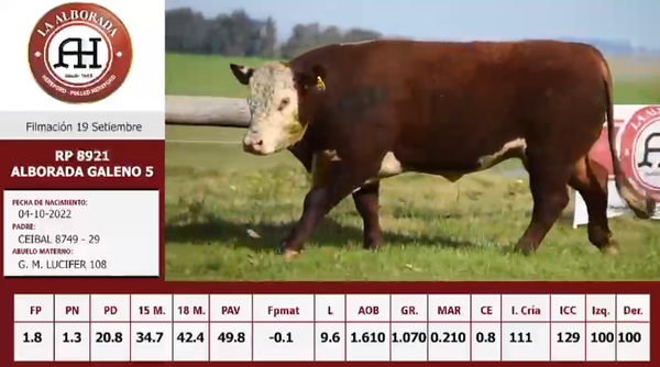 Lote 3 Toros PI / PO / PC, Cerro Largo