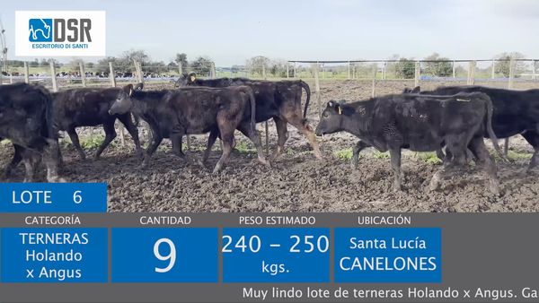 Lote 9 Terneras, Florida