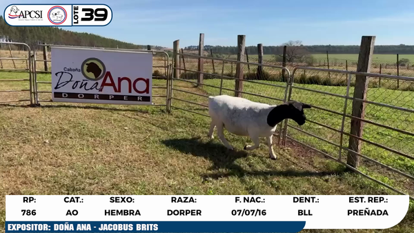 Lote LOTE 39