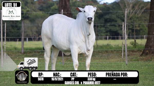 Lote LOTE 51 A BOZAL- RP 5678