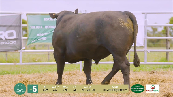 Lote 3 Toros, Flores