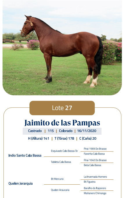Lote LOTE 27