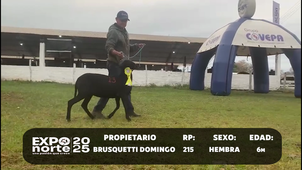 Lote RP 215,