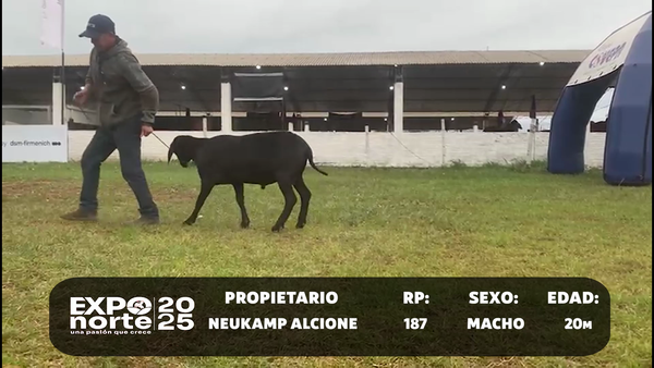 Lote RP 187,