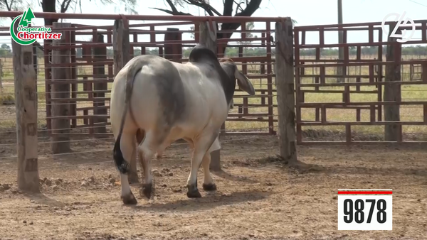 Lote Brahman