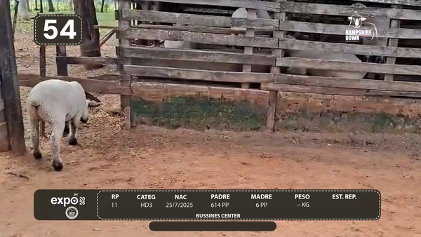 Lote LOTE 54 - CAMPO