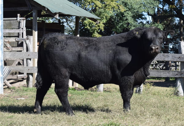 Lote CABAÑA “COEMBOTÁ” de Calderón RP 097