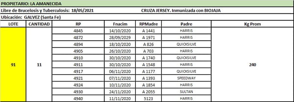 Lote Lote 91 La amanecida