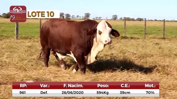 Lote Reproductores de Alborada - Lote 10