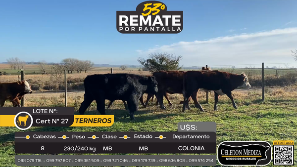 Lote 8 Terneros en La Horqueta, Colonia