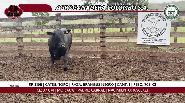 Lote TORO