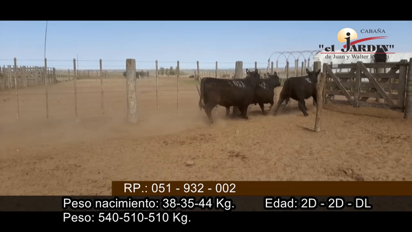 Lote VAQUILLONAS PREÑADAS PARICION OTOÑO