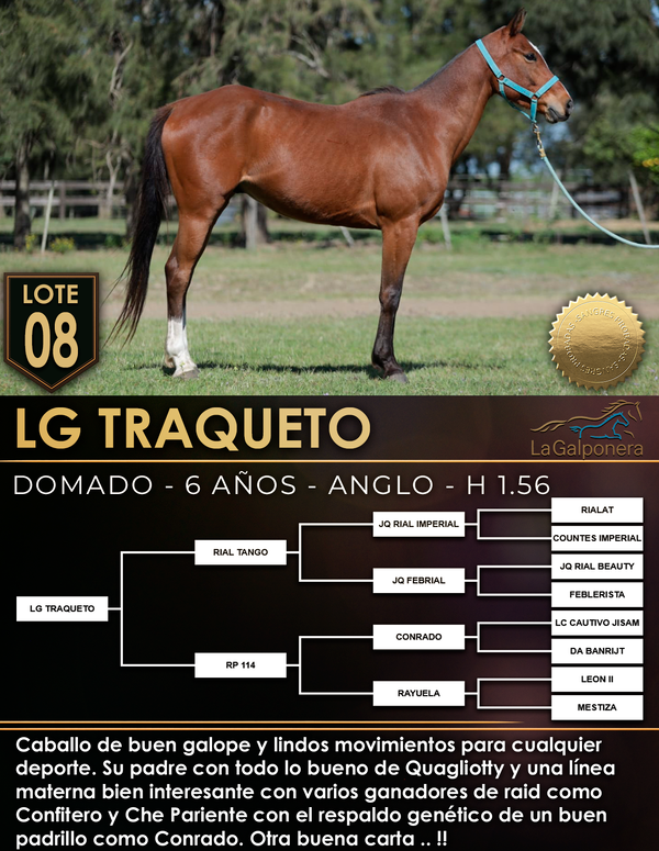 Lote LG TRAQUETO