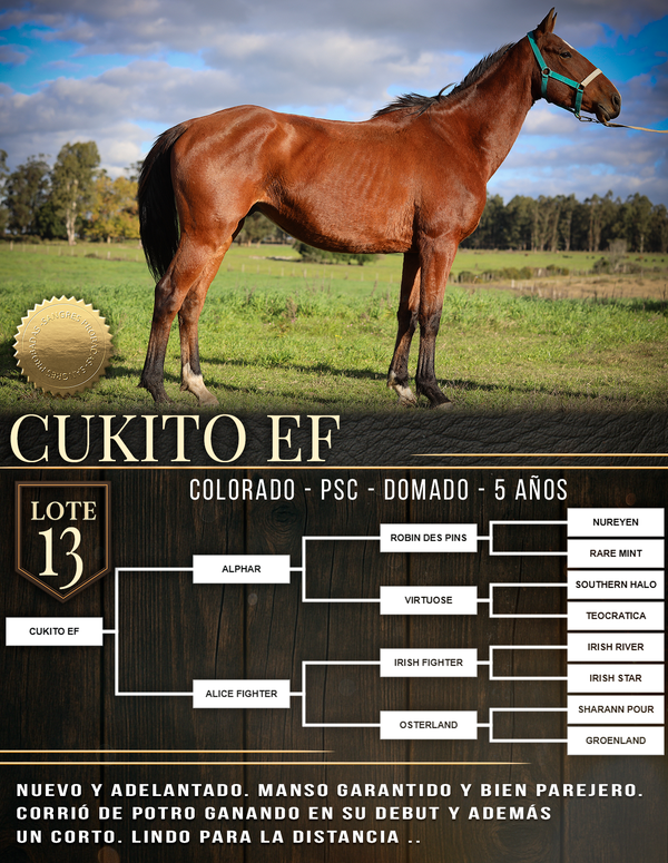 Lote CUKITO EF