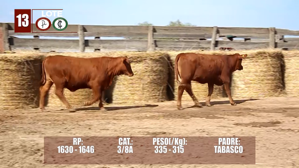 Lote Lote 13 Reserva de Cabaña