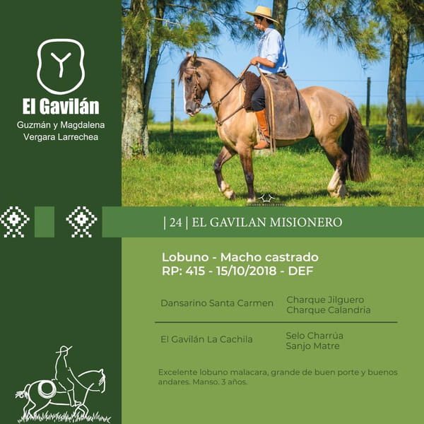 Lote El Gavilán Misionero (RP 415) Cabaña "El Gavilán"