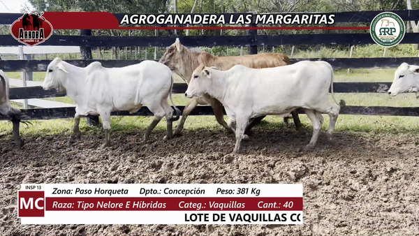 Lote AGROGANADERA LAS MARGARITAS