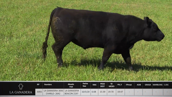 Lote LA GANADERA 3093 CHARLO - 2642