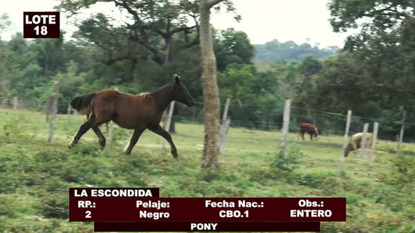 Lote Cabañas de Tradición - Lote 18