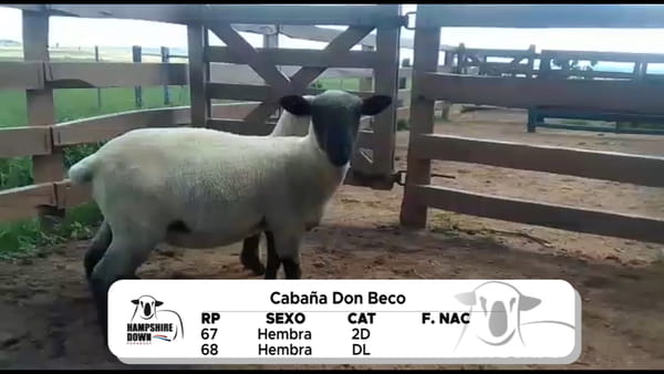 Lote LOTE 19 A CAMPO - RP 67 - RP 68