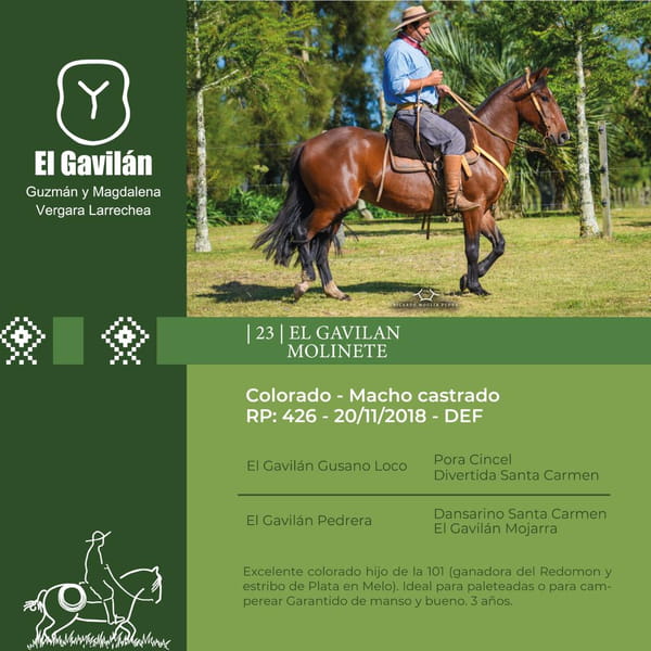 Lote El Gavilán Molinete (RP 426) Cabaña "El Gavilán"