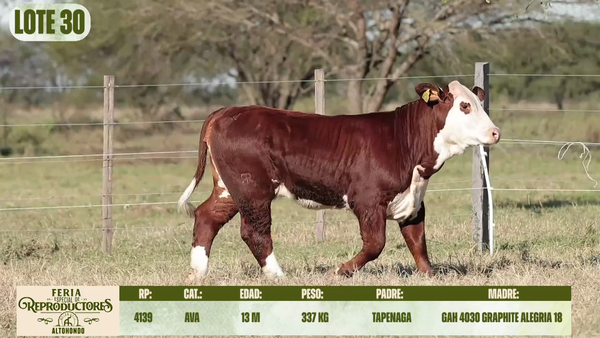 Lote LOTE 30