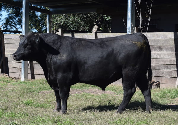 Lote CABAÑA “COEMBOTÁ” de Calderón RP 104