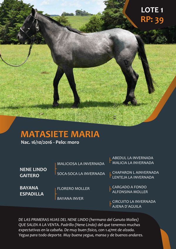 Lote RP 39 - MATASIETE MARIA