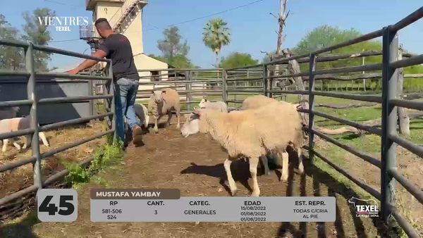 Lote LOTE 45