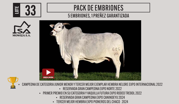 Lote LOTE 33