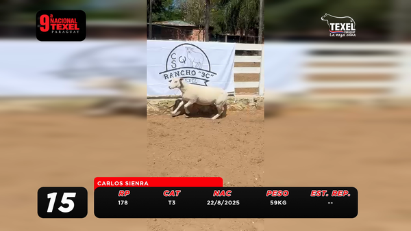 Lote LOTE 15