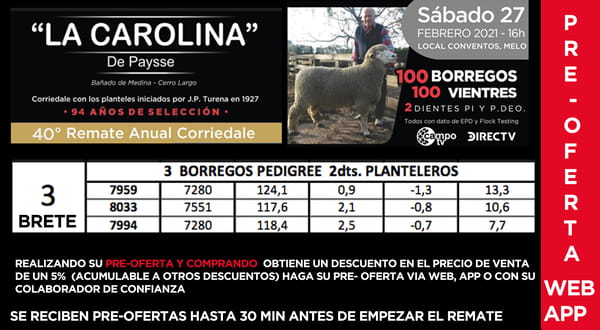 Lote 1 Borregos Planteleros en Cerro Largo, Cerro Largo