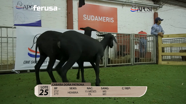 Lote Nacional Santa Inés Campo - Lote 25