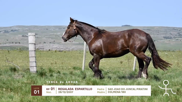 Lote REGALADA ESPARTILLO
