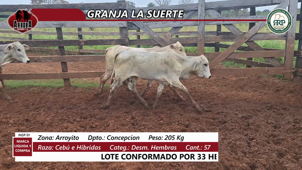 Lote GRANJA LA SUERTE