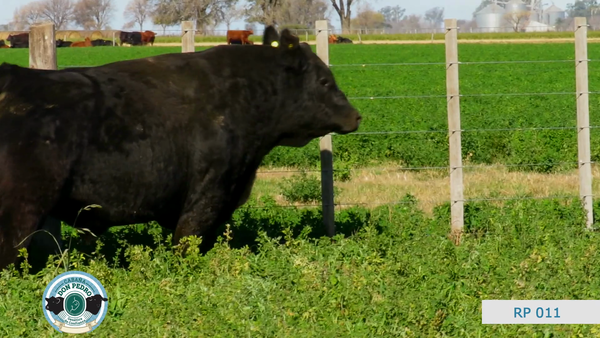Lote CABAÑA DON PEDRO