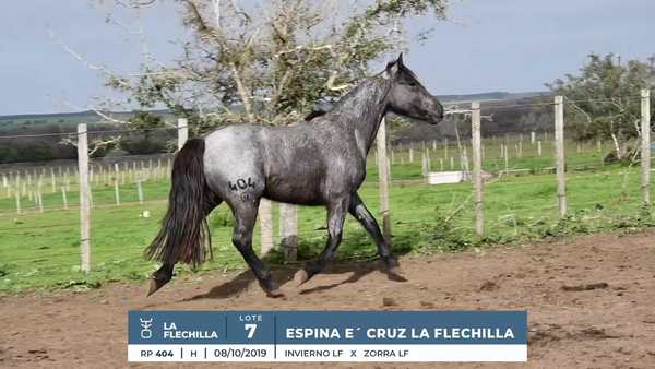 Lote ESPINA E´ CRUZ LA FLECHILLA