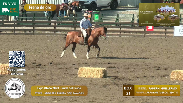 Lote ARRAYAN TUERCA 1850 T.E - SAPELLI GUTIERREZ HNOS