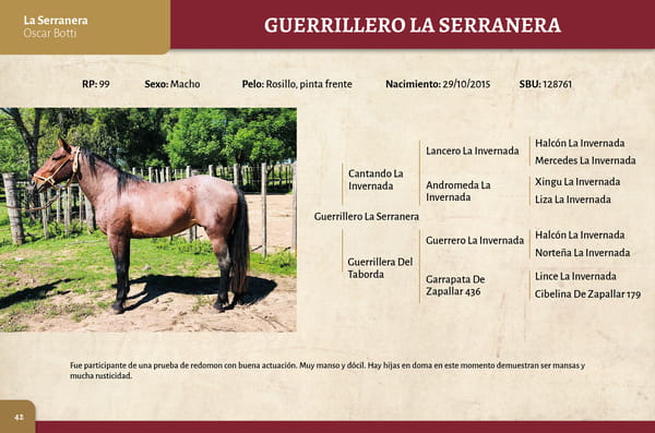 Lote Guerrillero (RP 99) - Cabaña La Serranera