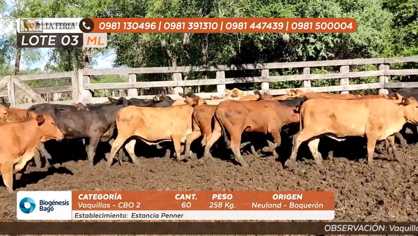 Lote ESTANCIA PENNER