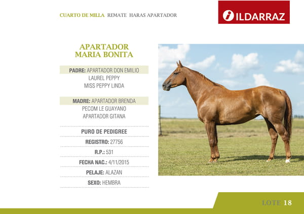 Lote APARTADOR MARIA BONITA