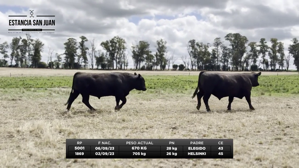 Lote Lote 1 - Estancia San Juan