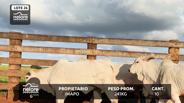 Lote LOTE 26