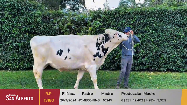 Lote Toros, Canelones