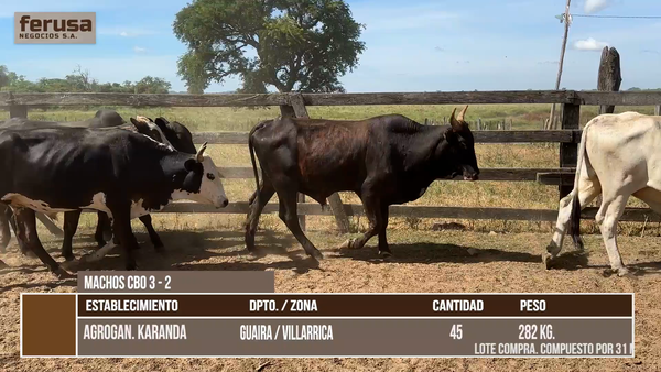Lote LOTE 6