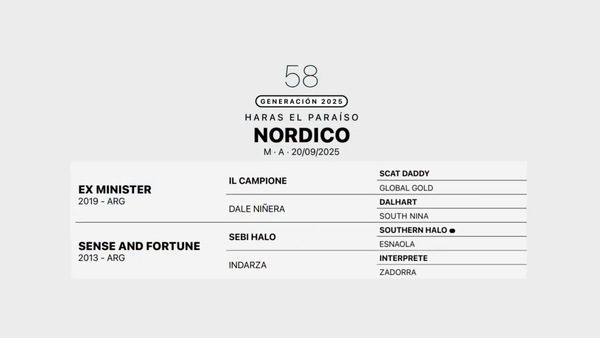 Lote NORDICO